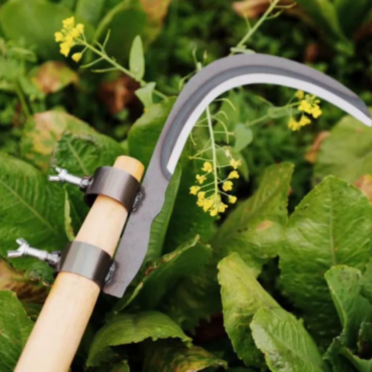 AgroTool, narzędzie do cięcia gałęzi, chwastów, cierni i roślinności - Image 9