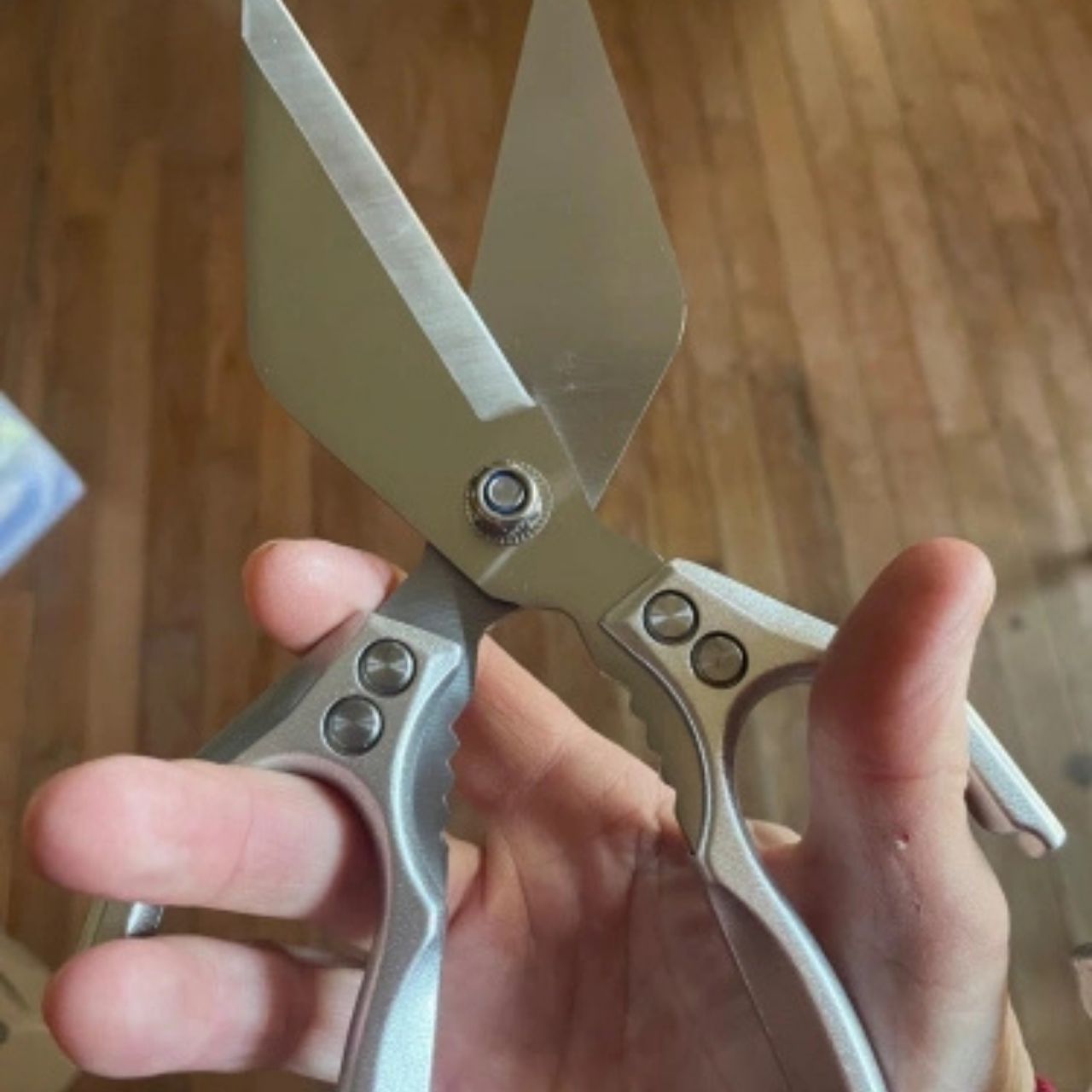 KitchShears